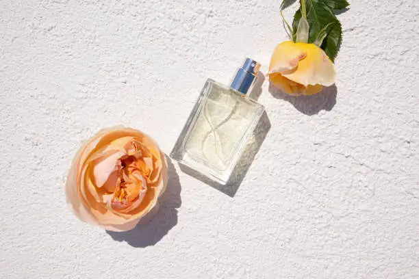 Eau de Parfum bottle on neutral set